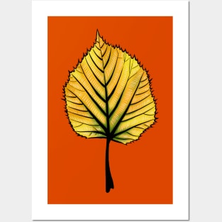 Yellow Linden Leaf On Orange | Decorative Botanical Art Posters and Art